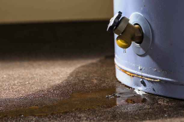 Best Flood damage cleanup  in Brooklyn, IA