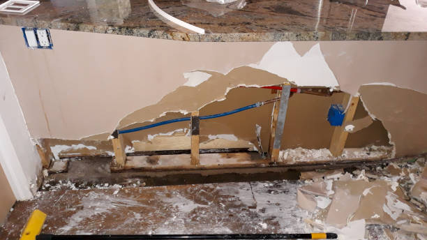 Best Local water damage restoration  in Brooklyn, IA