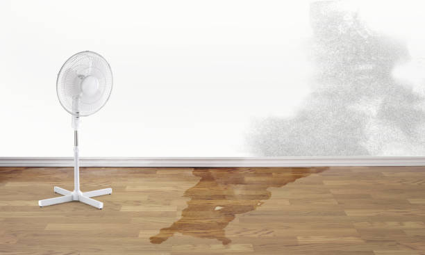 Professional Water damage restoration in Brooklyn, IA
