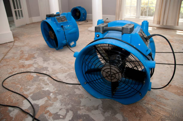 Best Flood restoration services  in Brooklyn, IA