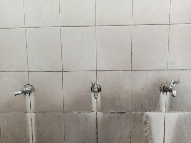 Best Fire Damage Restoration  in Brooklyn, IA