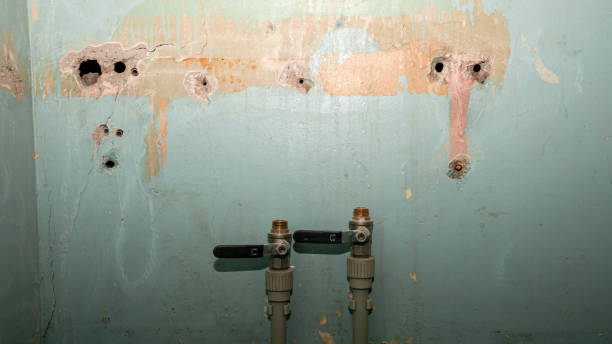 Best Flooded house restoration  in Brooklyn, IA