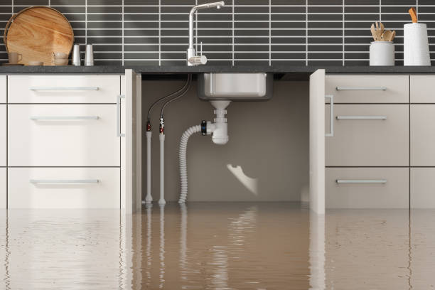 Best Commercial water damage restoration  in Brooklyn, IA