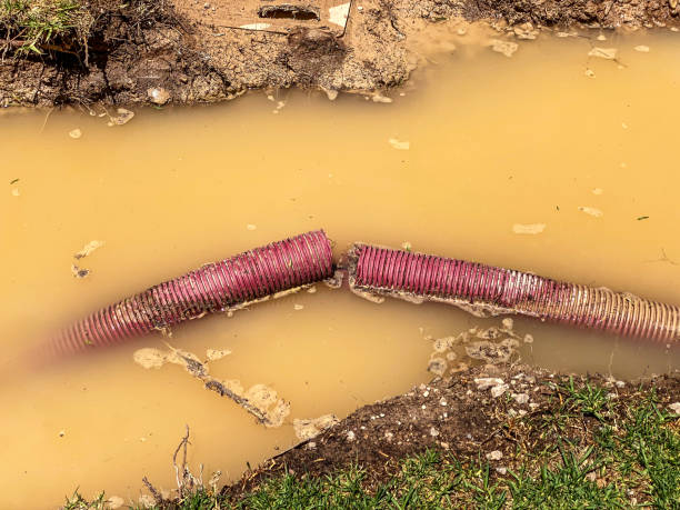 Best Basement water damage restoration  in Brooklyn, IA